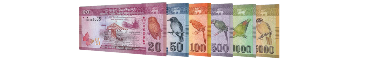 Banknotes_resized1.png